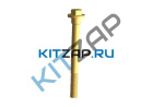 ���� ������� ������� �������
